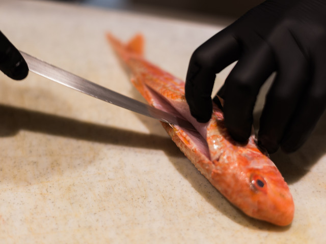 BIDAIAN Saint-Jean-de-Luz 